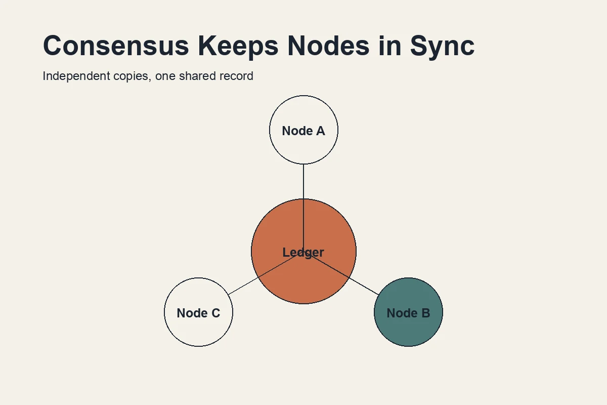 Diagram of multiple independent computers each holding a synchronized copy of the same blockchain ledger